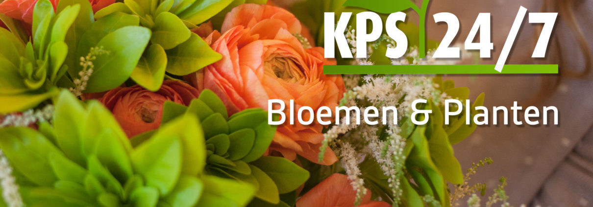 Door de bloemen weg in te slaan wordt het aanbod van KPS 24/7 een stuk breder, waardoor klanten een totaalpakket aangeboden krijgen. Door deze uitbreiding ontstaat er één marktplaats waarbij klanten de mogelijkheid hebben om de volledige inkoop te kunnen doen tegen een marktconforme prijs.